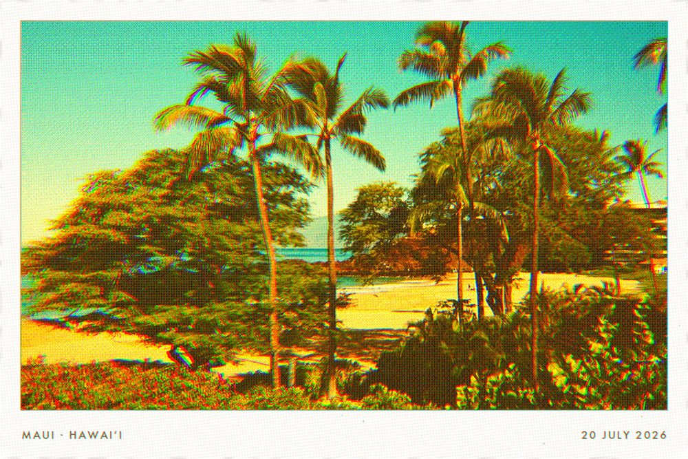 A postcard of palms above a beach on Maui.